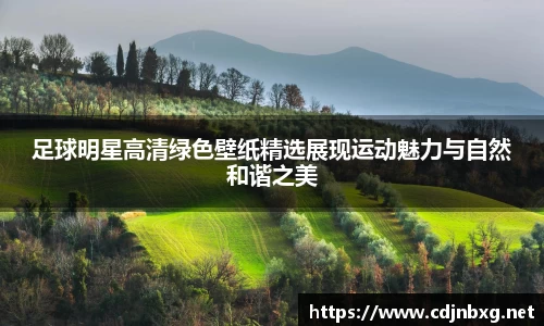 足球明星高清绿色壁纸精选展现运动魅力与自然和谐之美