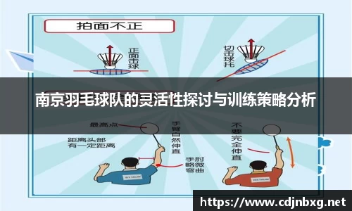 南京羽毛球队的灵活性探讨与训练策略分析